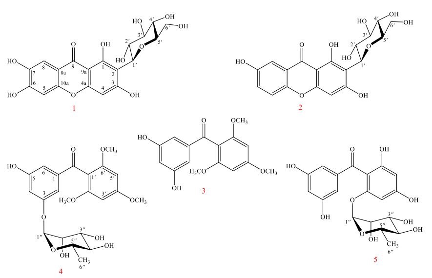 Các hoạt chất từ phần trên mặt đất loài Hypericum sampsonii